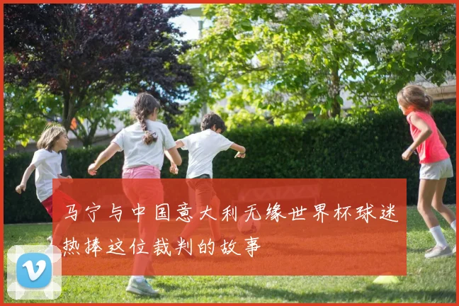 马宁与中国意大利无缘世界杯球迷热捧这位裁判的故事